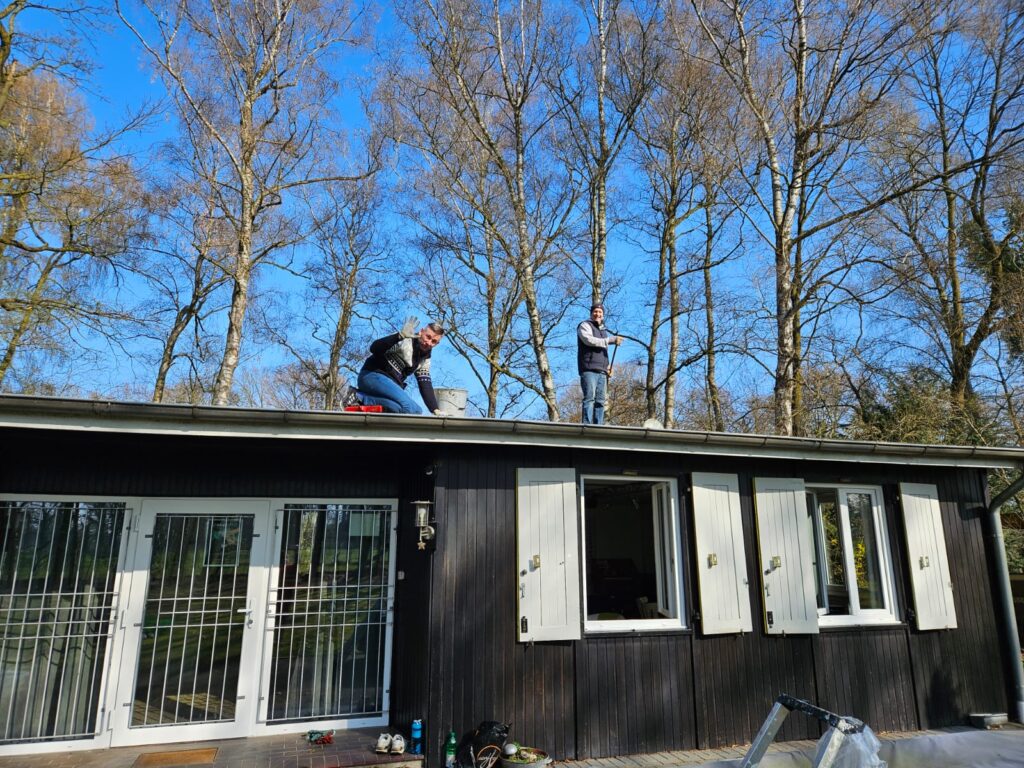 Frühjahrs Garten Aktion