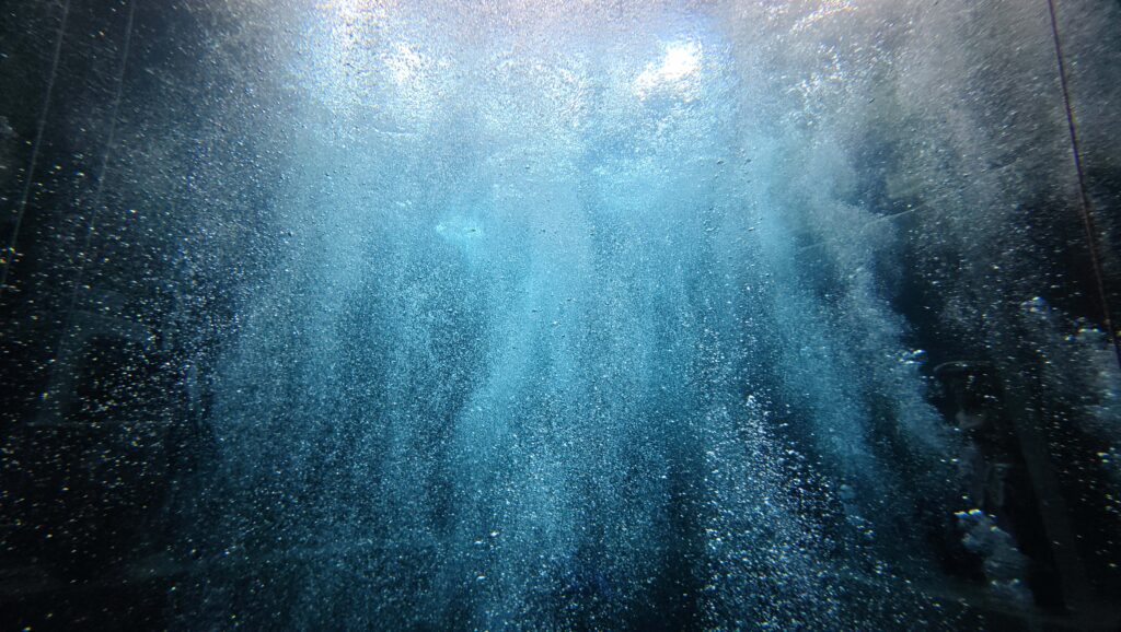 dji_mimo_20260201_132222_0_1770119901594_photo