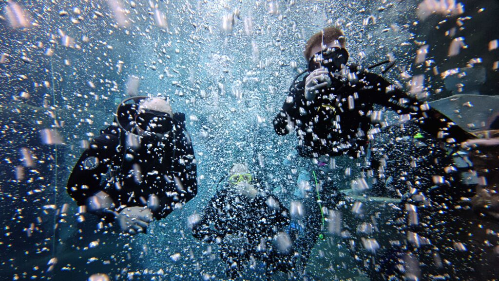 dji_mimo_20260201_152924_0_1770122515026_photo