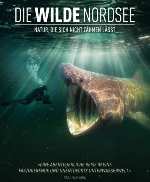 Abgetaucht im Kinosessel: Tauchsportverein entdeckt Nordsee neu