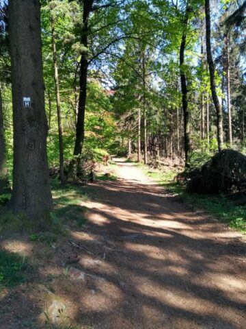 IMG_20180505_154304996_HDR